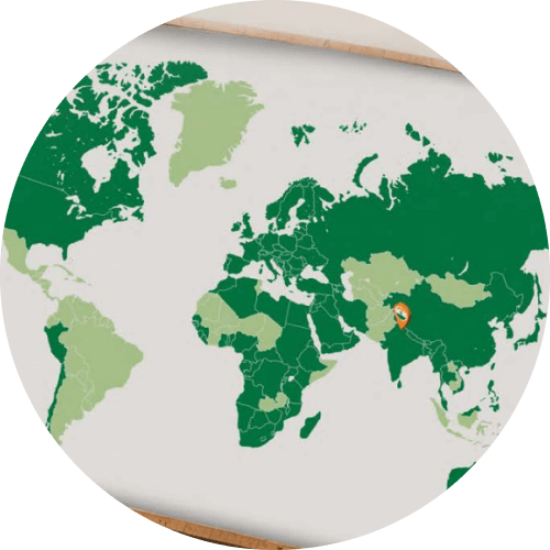 About world largest rice mills