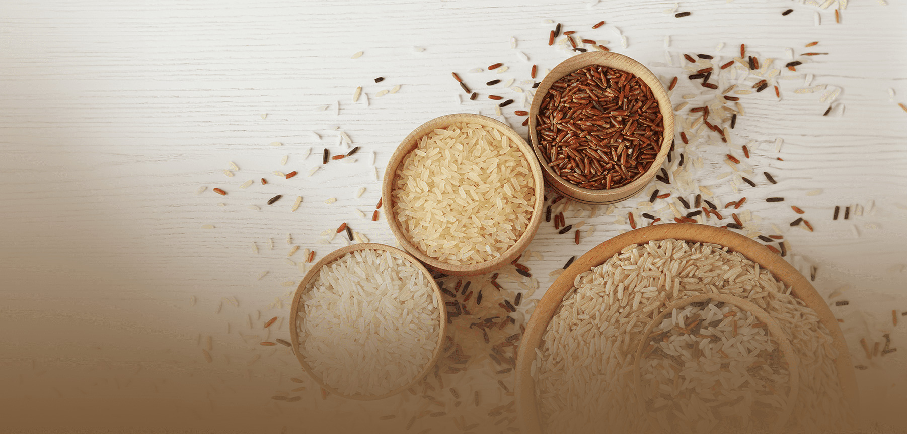 explore rice desktop banner Banner